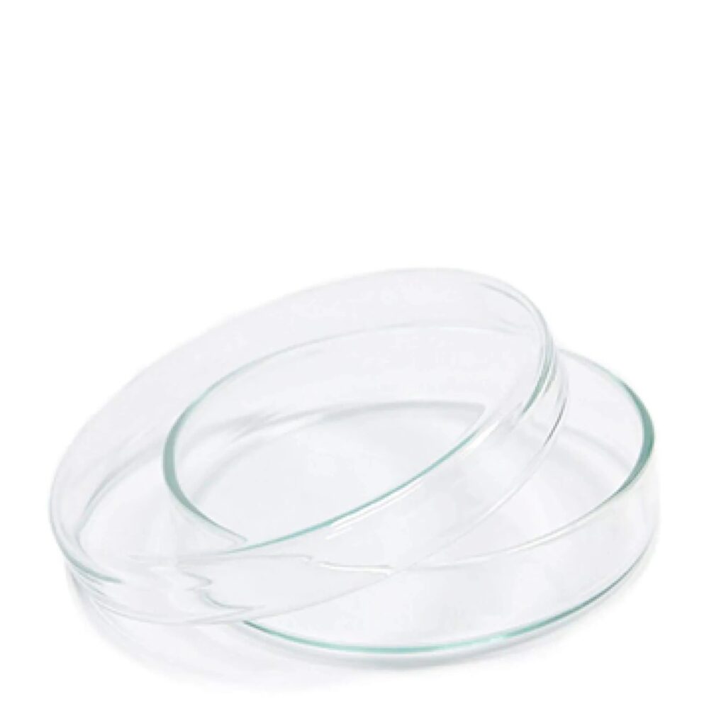 Petri Dishes x 10